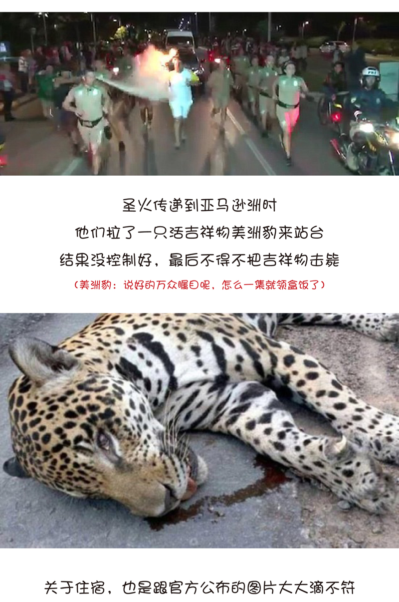 MK手机网页版登录入口集成墙面