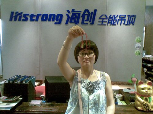 MK手机网页版登录入口集成吊顶