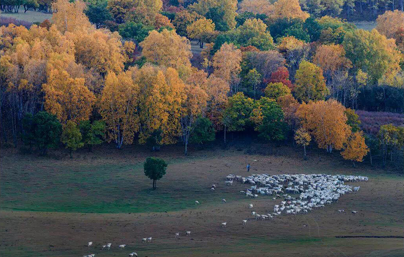 9999.jpg MK手机网页版登录入口集成墙面.jpg