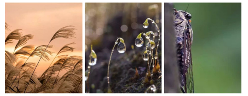 b57418b037bdaf293a99f62f4cf3471.jpg b57418b037bdaf293a99f62f4cf3471.jpg