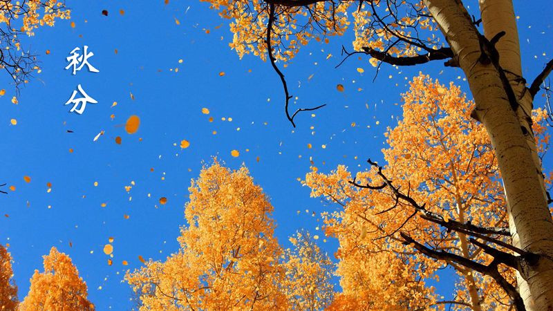 MK手机网页版登录入口集成吊顶 MK手机网页版登录入口集成吊顶