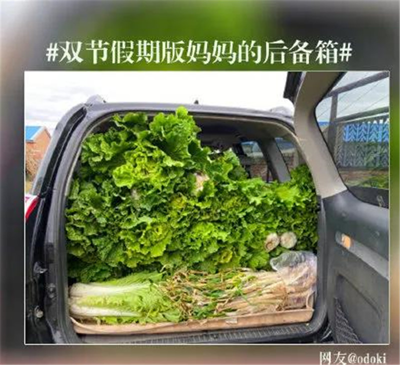 MK手机网页版登录入口集成墙面 MK手机网页版登录入口集成墙面