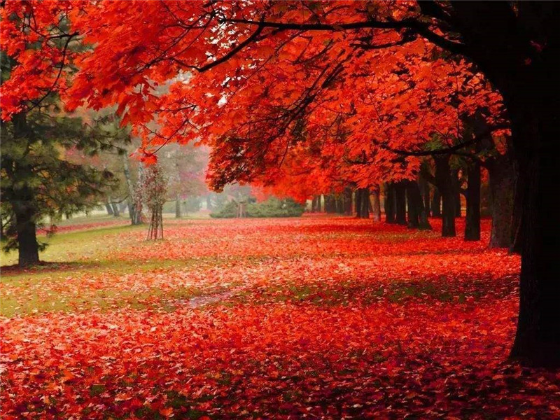 MK手机网页版登录入口集成墙面 MK手机网页版登录入口集成墙面