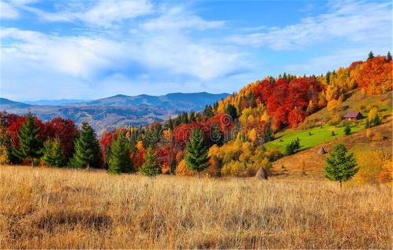 MK手机网页版登录入口集成墙面 MK手机网页版登录入口集成墙面