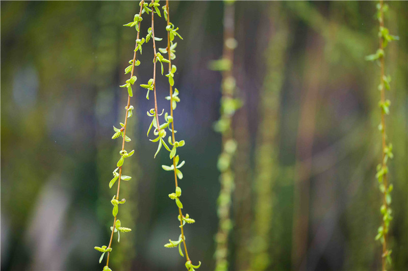 MK手机网页版登录入口集成墙面 MK手机网页版登录入口集成墙面