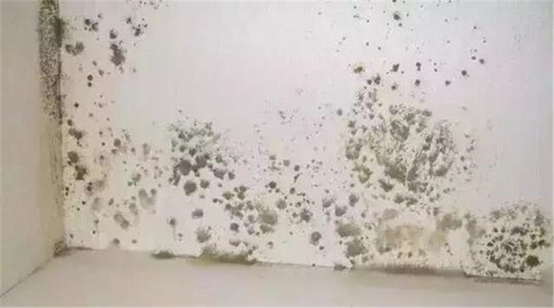 MK手机网页版登录入口集成墙面 MK手机网页版登录入口集成墙面