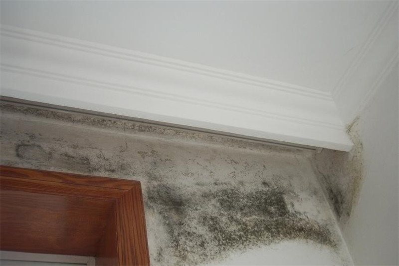 MK手机网页版登录入口集成墙面 MK手机网页版登录入口集成墙面