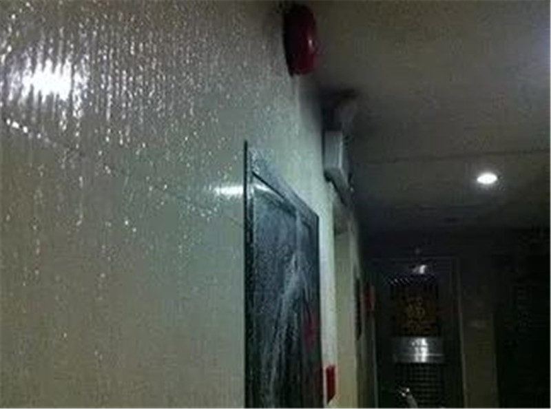 微信图片_20220328135049.jpg 微信图片_20220328135049.jpg