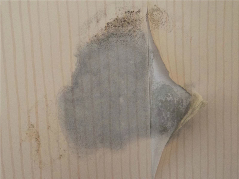 d618-hhqtaww9374239_副本.jpg d618-hhqtaww9374239_副本.jpg